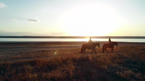 Drone Aerial View of Woman Riding Horses Open Coast. Stallion Training. Jogging  alt