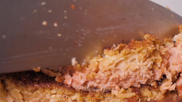 Plant Based Vegan Burger Meat, Fake Vegeterian Beef Meat Close Up, Fresh Impossible Veggie Food alt