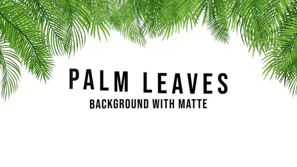 Palm Leaves 4