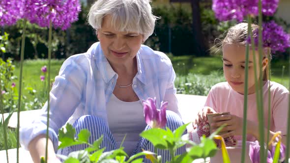 Grandmother and Girl Planting Flowers at Garden  alt
