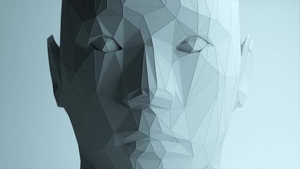 Creates a Polygonal Digital Human Face alt