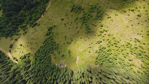 Aerial Shot Mountain Forest with Camp