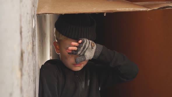 Poor Orphan Boy Shelters From the Rain Under Cardboard Crying alt