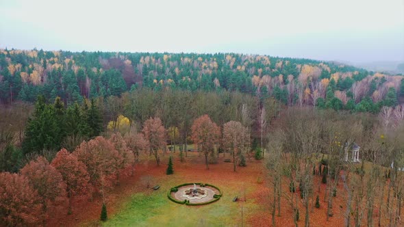 Aerial view of forest tree. Aerial shot of beauty forest nature landscape alt