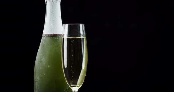 Frozen Champagne Bottle and Flute