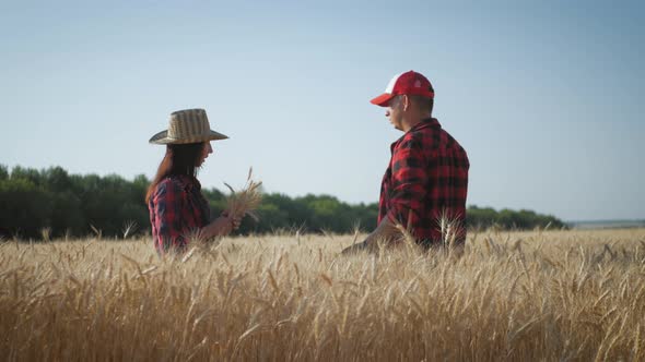 Farmers Handshake Over the Wheat Crop in Harvest Time. Partnership Concept. alt