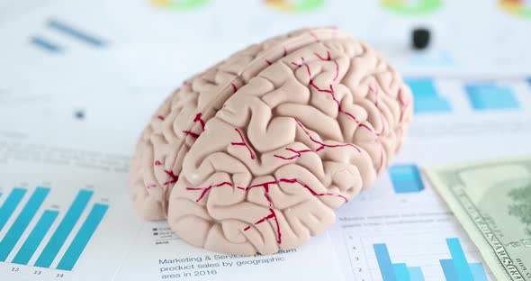 Artificial Model of Human Brain Lying on Documents with Graphs Closeup  Movie Slow Motion