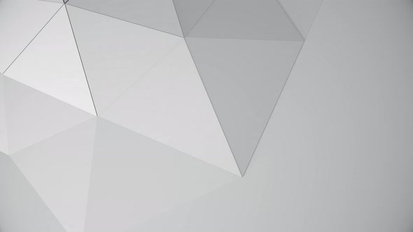 Abstract White Geometric 3d background for business presentation