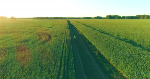Aerial View on Young Boy, That Rides a Bicycle Thru a Wheat Grass Field on the Old Rural Road alt