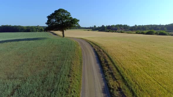 Drone Shot of Road on The Countryside