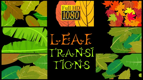 Leaf Transitions