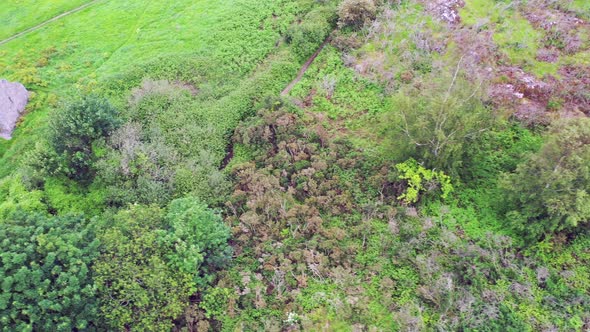 Aerial View of Raheen-a-Cluig Medieval Church in Bray, County Wicklow, Ireland