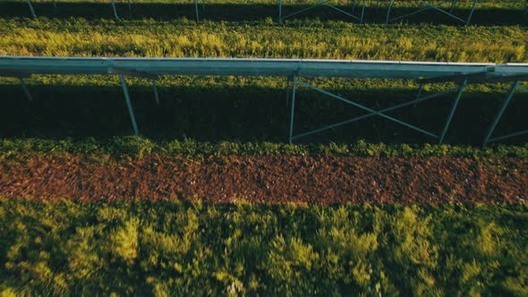 Aerial View Solar Power Station on Green Field at Sunset Solar Panels in Row alt