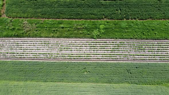 Aerial drone view of a flying over the rural agricultural landscape. alt