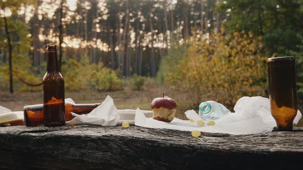 Rubbish Left By People After Relaxing in a Pine Forest alt