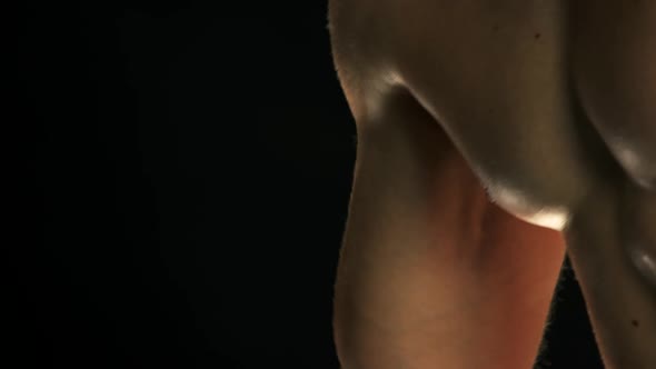 Close Up on Bicep Muscles of a Professional Bodybuilder. alt