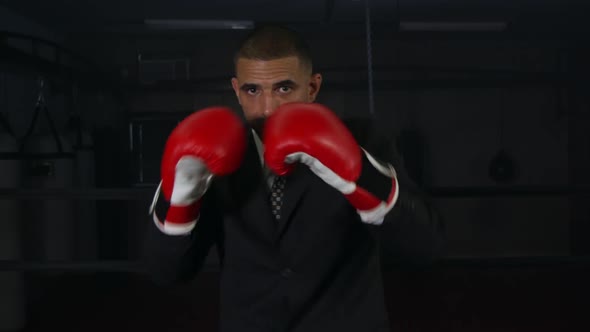 Businessman With Boxing Gloves 31
