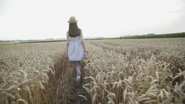 Young Lady in Dress and Hat Walks Among Golden Wheat Field and Touches Ears alt