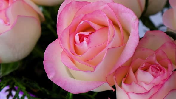 Tender Pink Rose on Vase on Beige Background alt