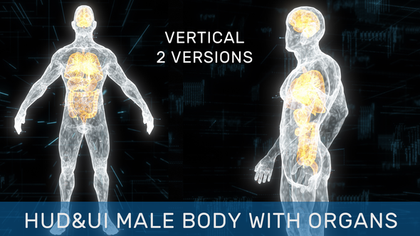HUD UI Male Body With Organs Pack