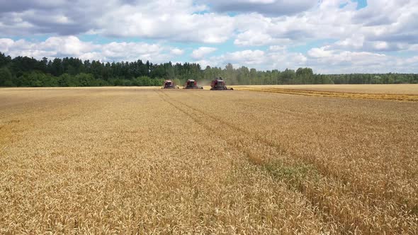  combine harvesters reaping the grain