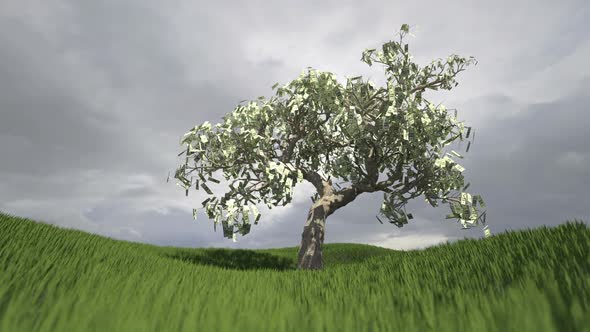 Money Tree Landscape alt
