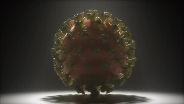 Coronavirus Vaccine Covid-19 alt