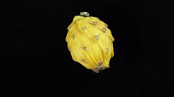 Rotating Pitahaya Yellow Exotic Fruit On A Black Background.