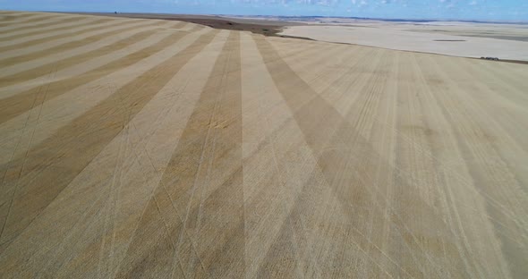 Aerial View of Field alt