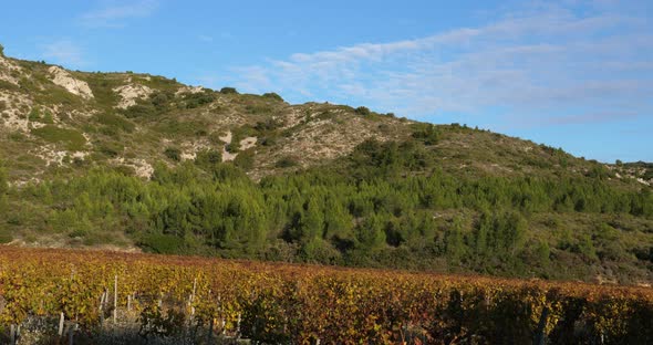 Mountains of the Alpilles overlooking the vineyards, Saint Remy de Provence, France alt