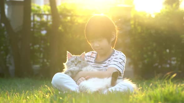 Cute Asian Child Playing With Persian Cat In The Park Outdoor alt