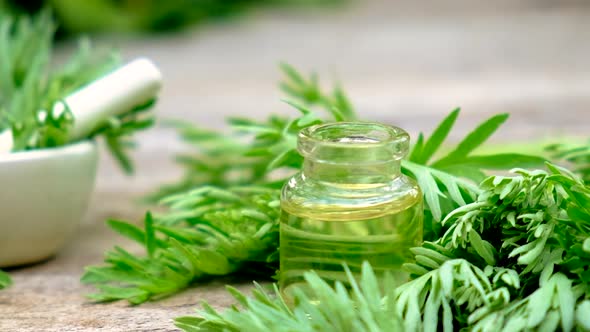 Wormwood Extract in a Small Bottle alt