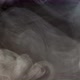 Thick smoke on black - VideoHive Item for Sale