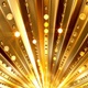 Golden Shine - VideoHive Item for Sale