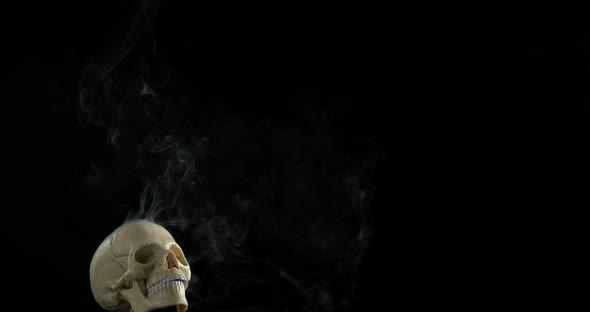 Aggressive Human Skull alt