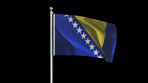 Bosnia Flag Big