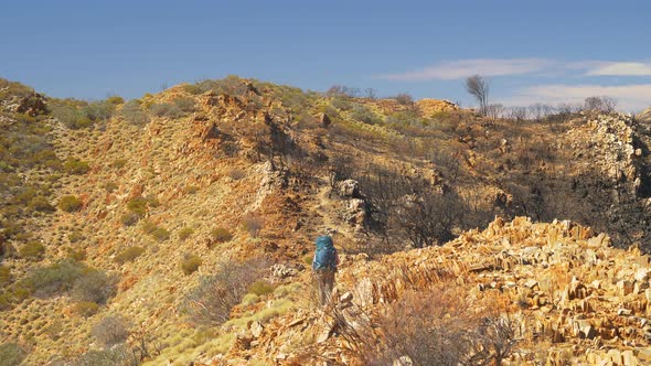 Hiker walks next to scorched outback landsacpe, Central Australia alt