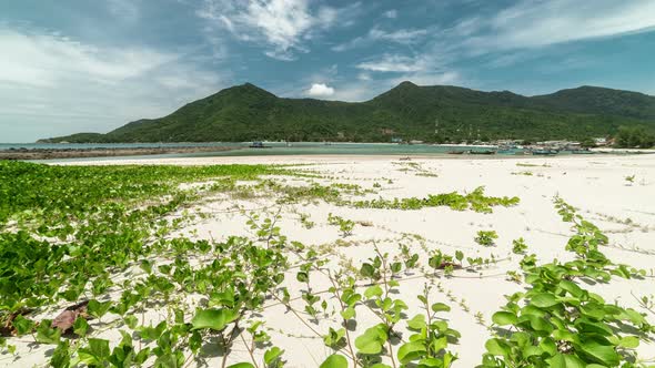 Paradise white sand beach Malibu in Koh Phangan island, Suratthani, Thailand alt