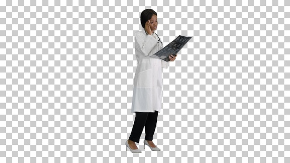 Female medical doctor reading x rays of, Alpha Channel alt