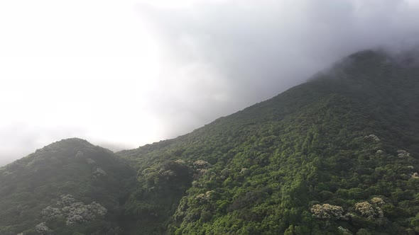 Aerial footage of arising fog with on forest mountain top in spring, Hyperlapse alt