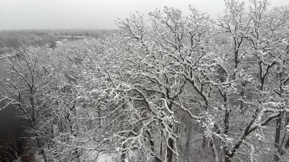 Flying a Drone Low Over the Bare Branches of Trees with Snow Patches Near a Picturesque River alt