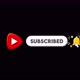 Beautiful Subscribe Button Animation v3 - VideoHive Item for Sale