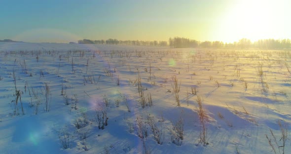 Aerial Drone View of Cold Winter Landscape with Arctic Field, Trees Covered with Frost Snow and alt