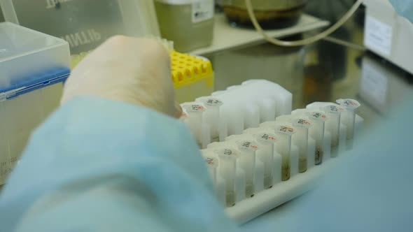 Researcher Works at Molecular Genetic Research Laboratory Workplace for DNA Test alt