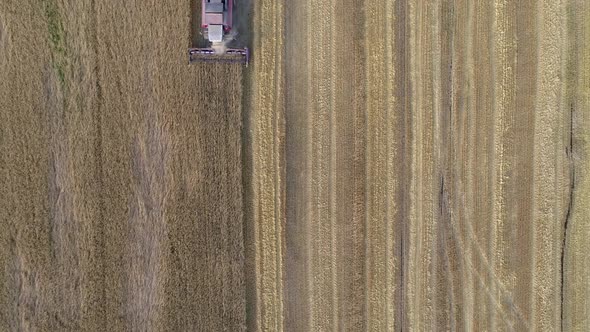 Top Down view on Work Combine Harvester alt