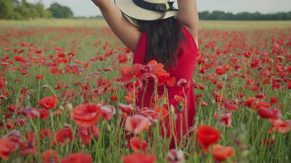 Girl in a Red Dress and Hat Among the Poppies