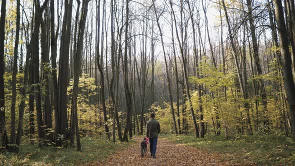The Camera Follows a Man with a Dog Walking Through an Autumn Forest alt