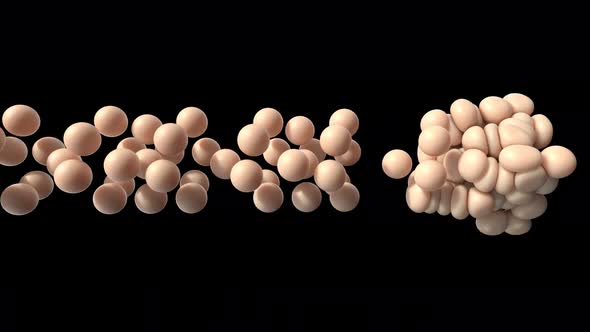 3d Soft Sphere Fat Cell Medical Tissue Design Atherosclerosis Cholesterol alt