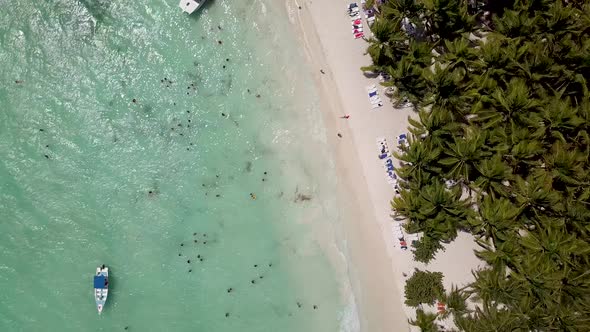 Top View of Saona Island Beach with People on Vacations