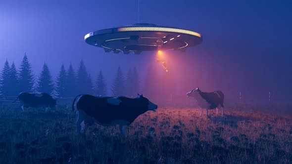 Night scene with UFO shots cows on the meadow. Alien spaceship shots red laser alt